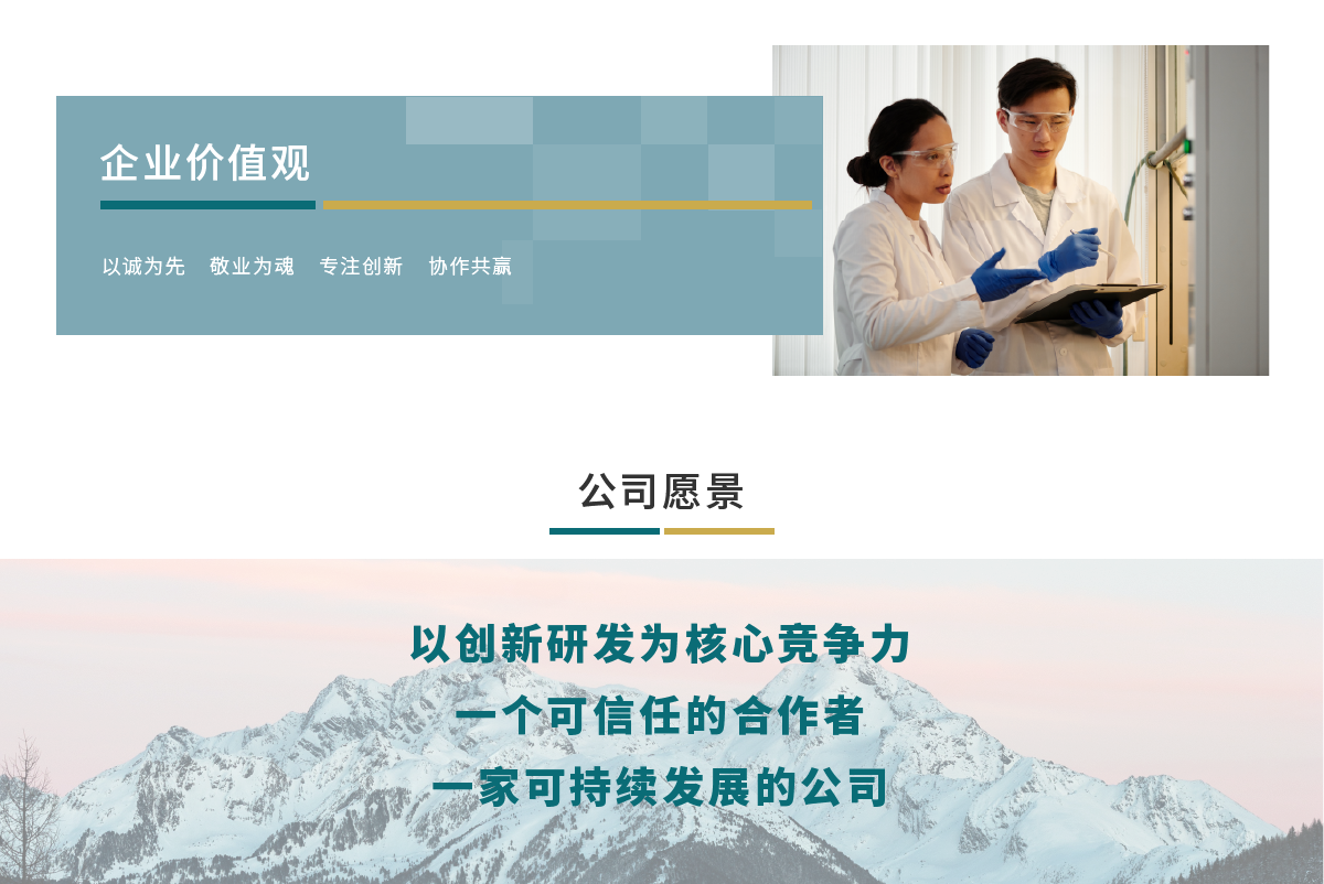 畫板 2企業文化1.0.png
